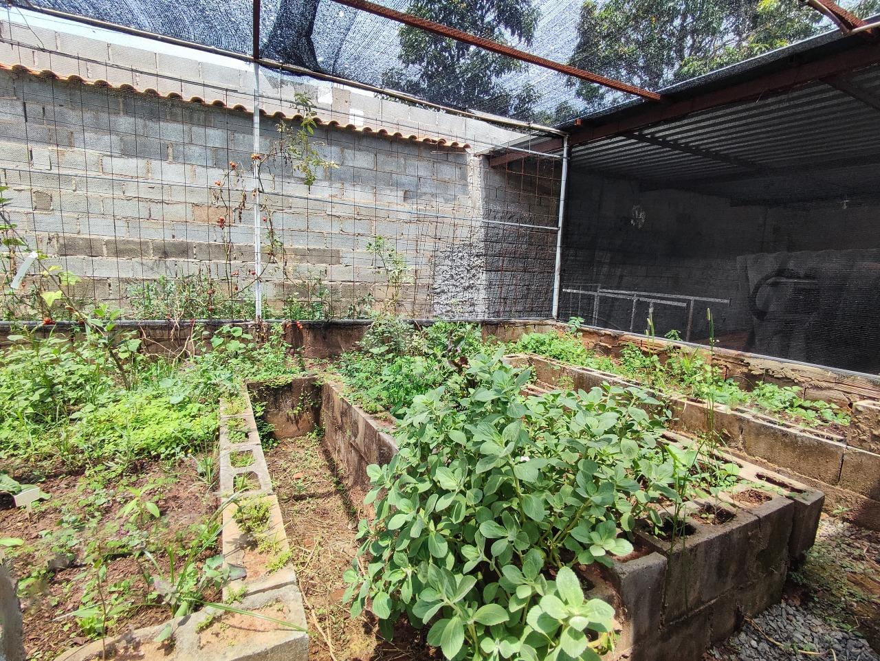 Chácara à venda no bairro Lagoa Nova: HORTA