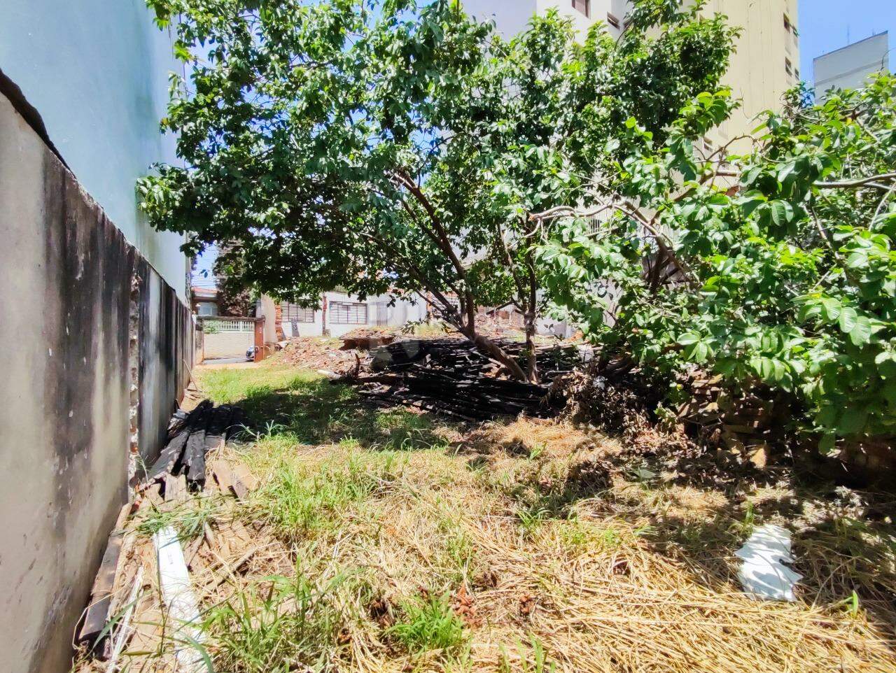 Terreno à venda no bairro Centro: 