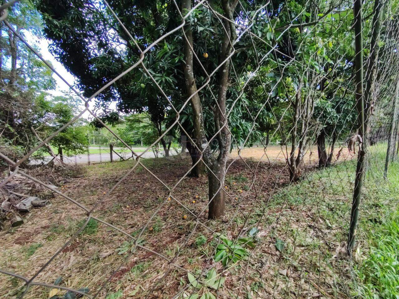 Chácara à venda no bairro Residencial Casalbuono: 