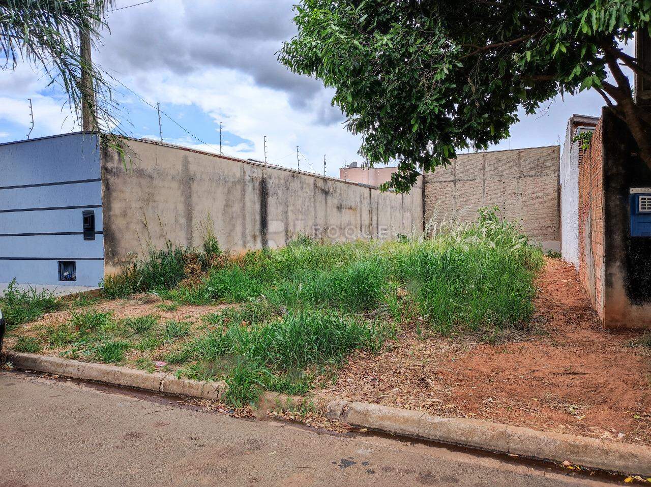 Terreno à venda no bairro Jardim Campo Verde I: 