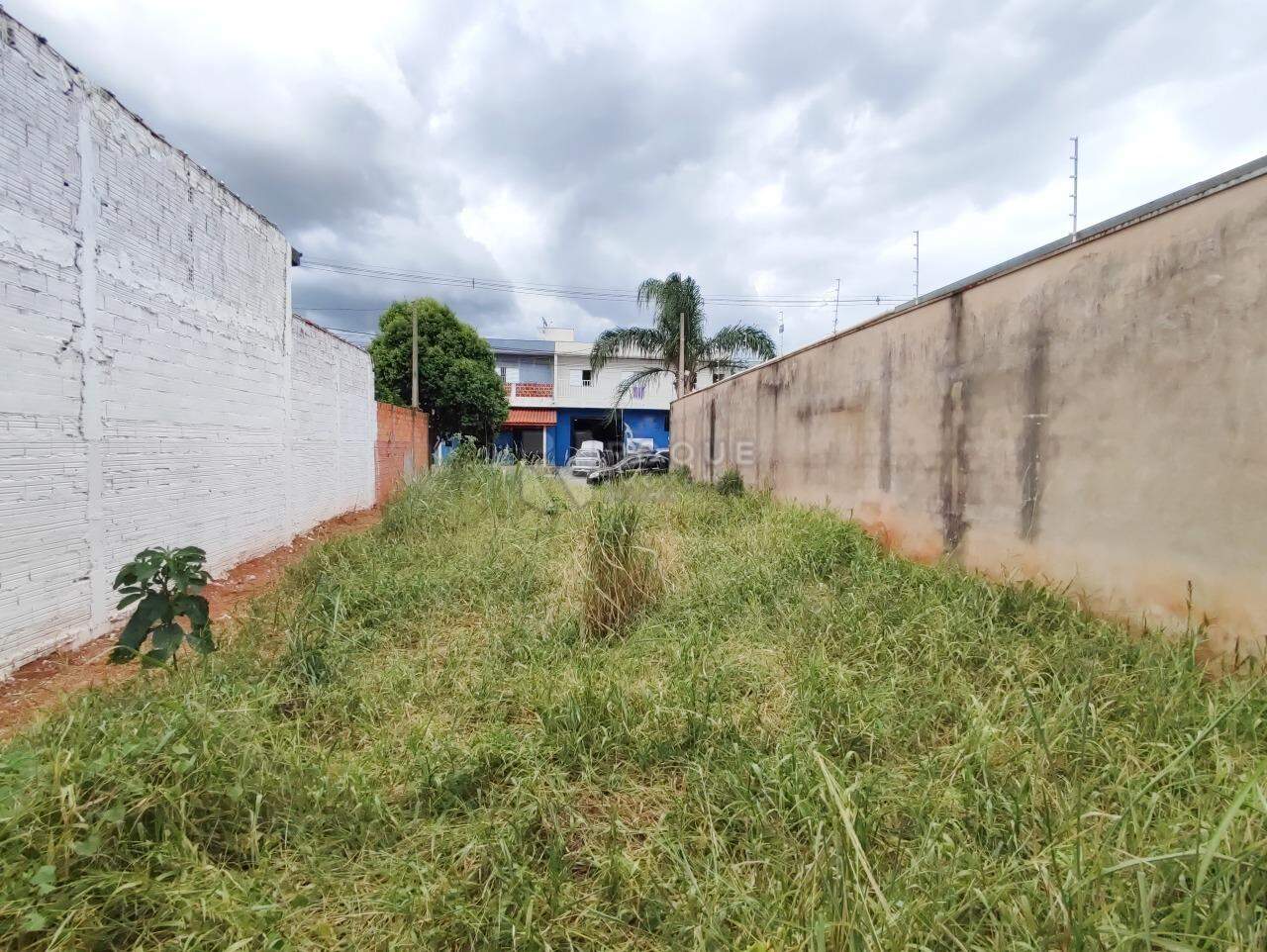 Terreno à venda no bairro Jardim Campo Verde I: 