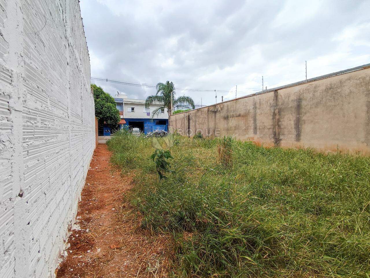 Terreno à venda no bairro Jardim Campo Verde I: 