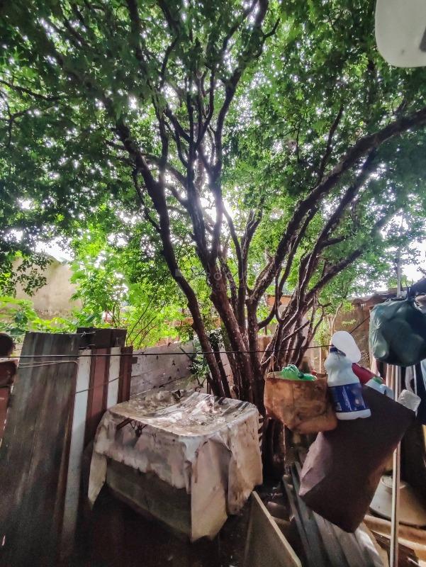 Casa Residencial à venda no bairro Vila Queiroz: FUNDOS CASA 1