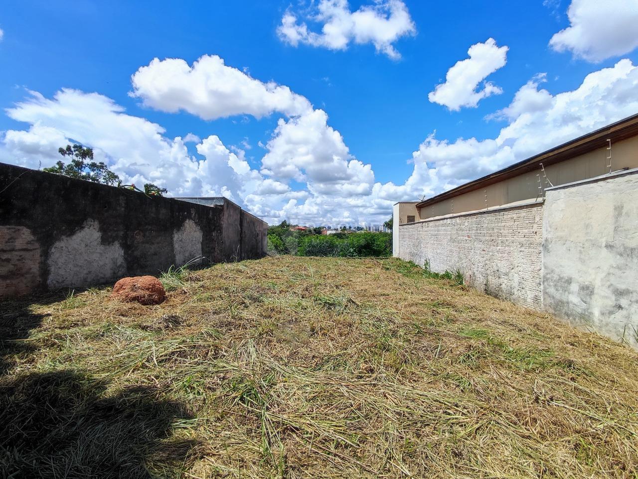 Terreno à venda no bairro Vila Limeiranea: 