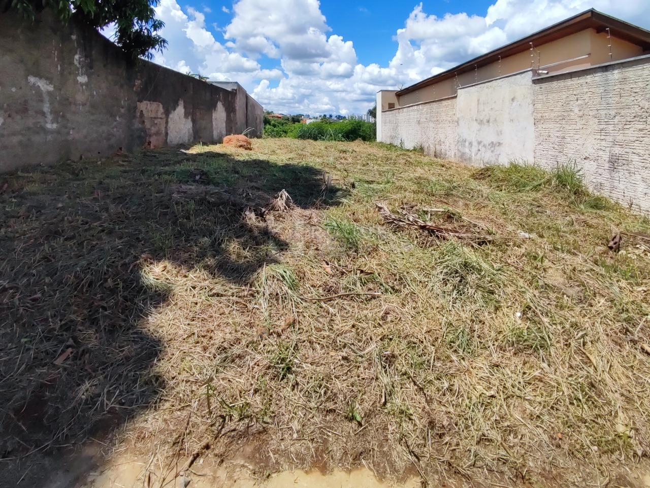 Terreno à venda no bairro Vila Limeiranea: 