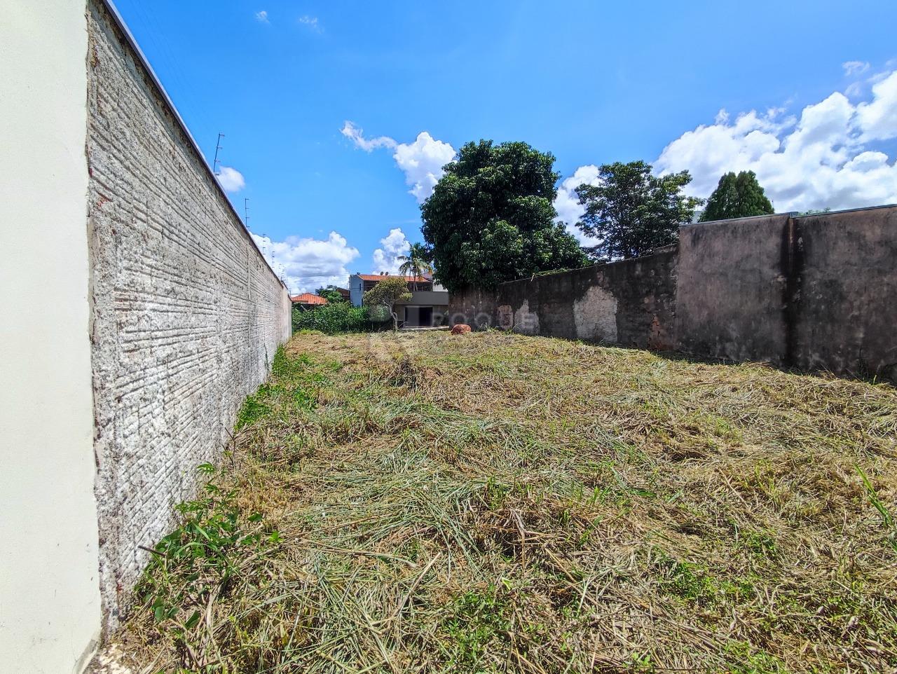 Terreno à venda no bairro Vila Limeiranea: 