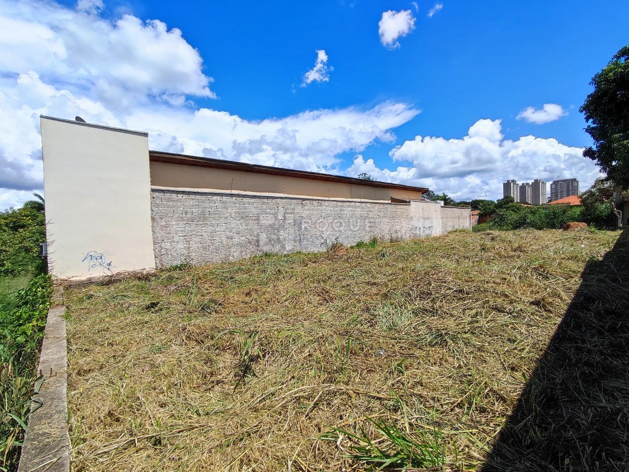 Terreno à venda no bairro Vila Limeiranea: 