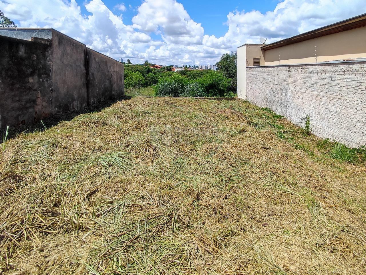 Terreno à venda no bairro Vila Limeiranea: 
