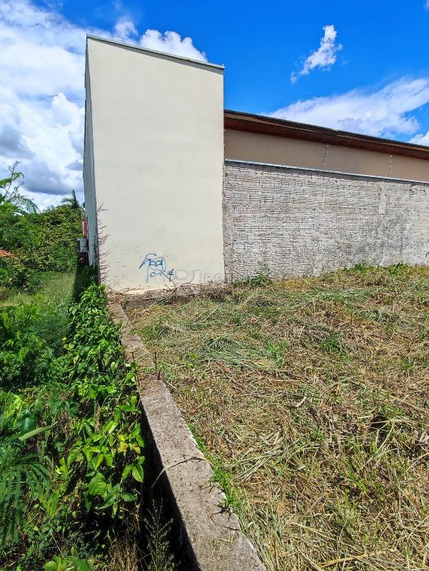 Terreno à venda no bairro Vila Limeiranea: 