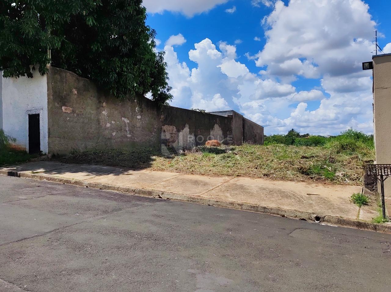 Terreno à venda no bairro Vila Limeiranea: 