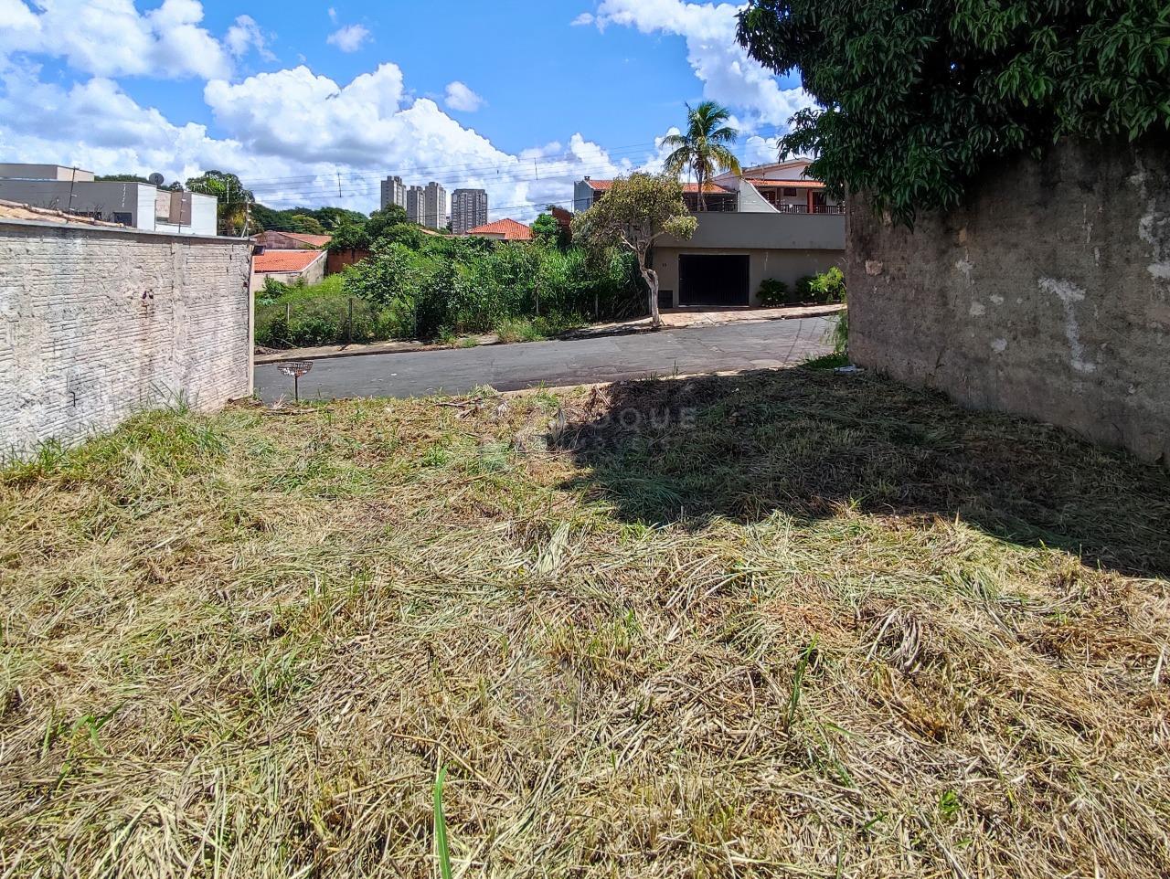 Terreno à venda no bairro Vila Limeiranea: 