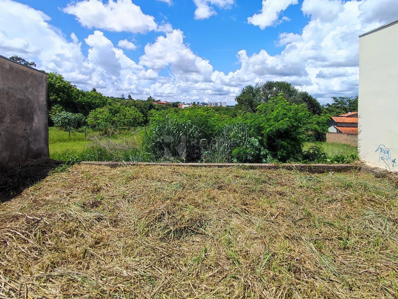 Terreno à venda no bairro Vila Limeiranea: 