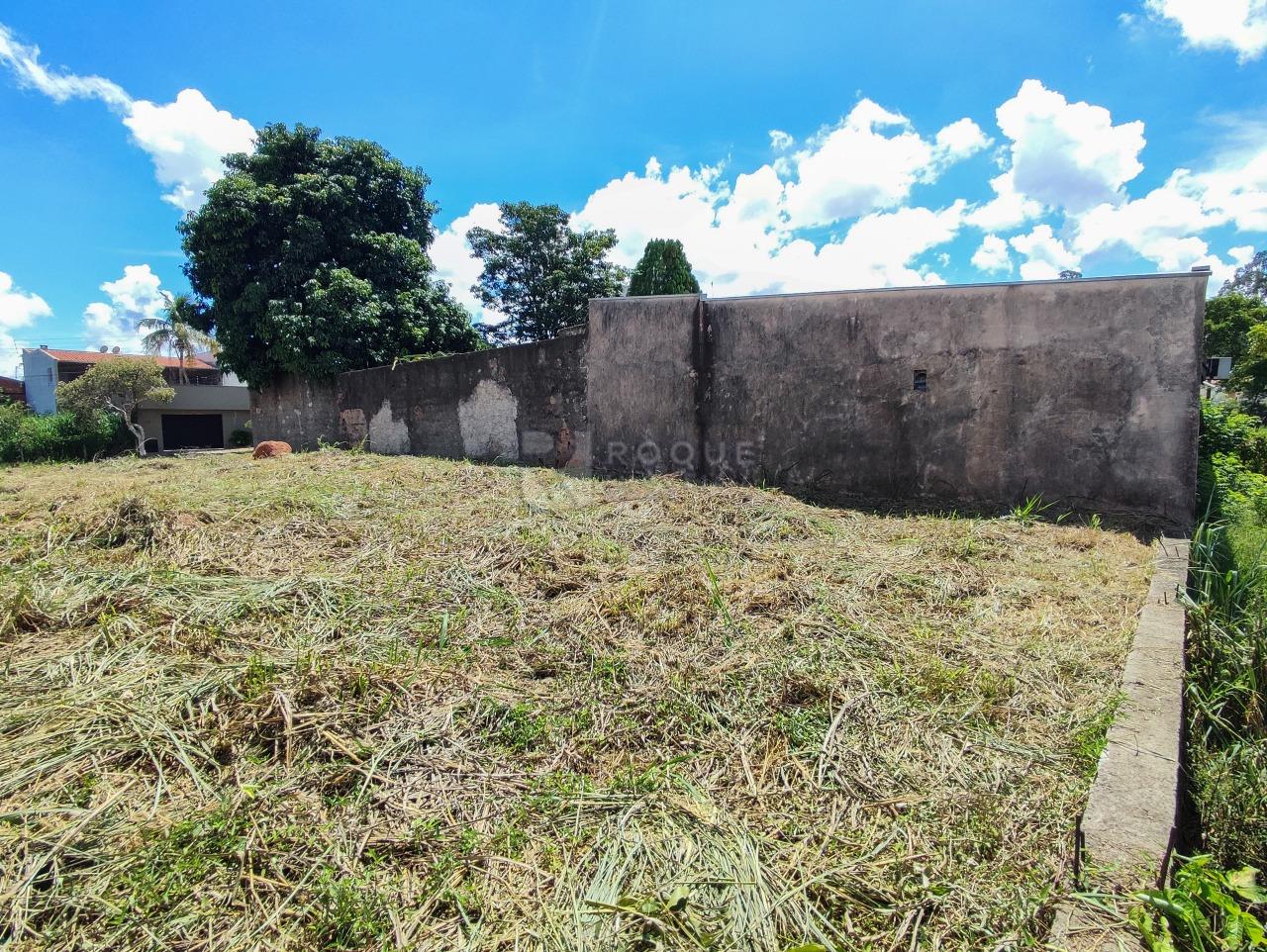 Terreno à venda no bairro Vila Limeiranea: 