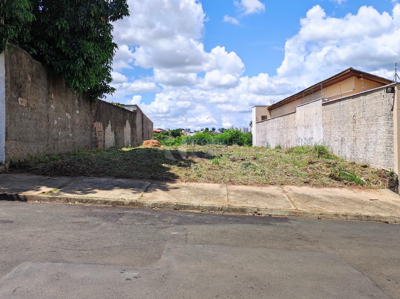 Terreno à venda no bairro Vila Limeiranea: 