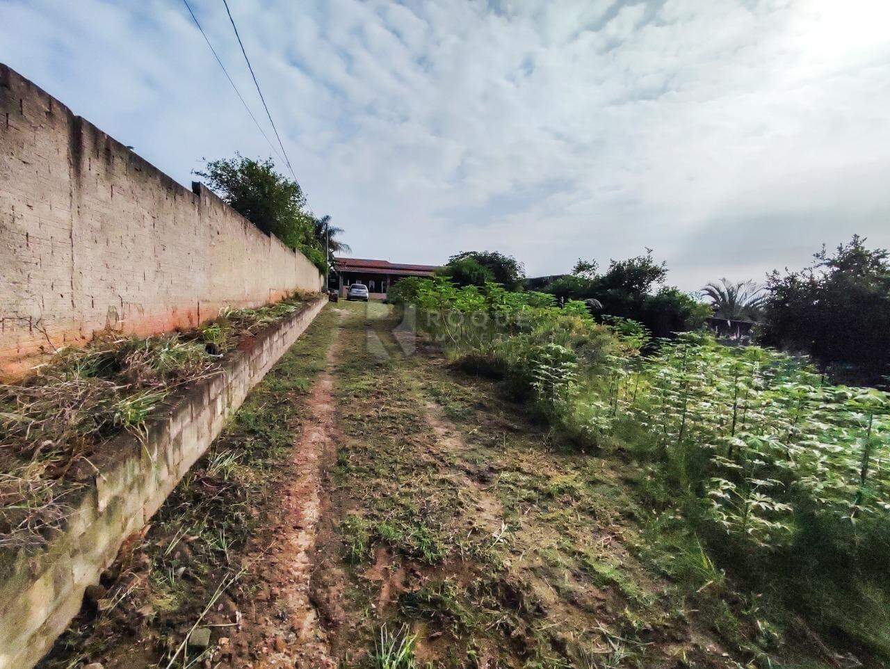 Chácara à venda no bairro Bairro dos Pires: ÁREA DE PLANTIO