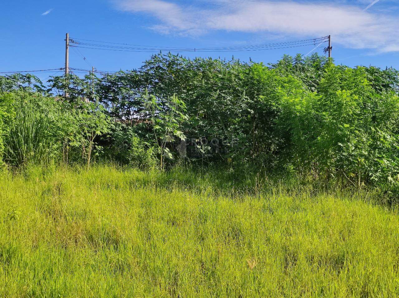 Terreno à venda no bairro Residencial Colinas do Engenho I: 