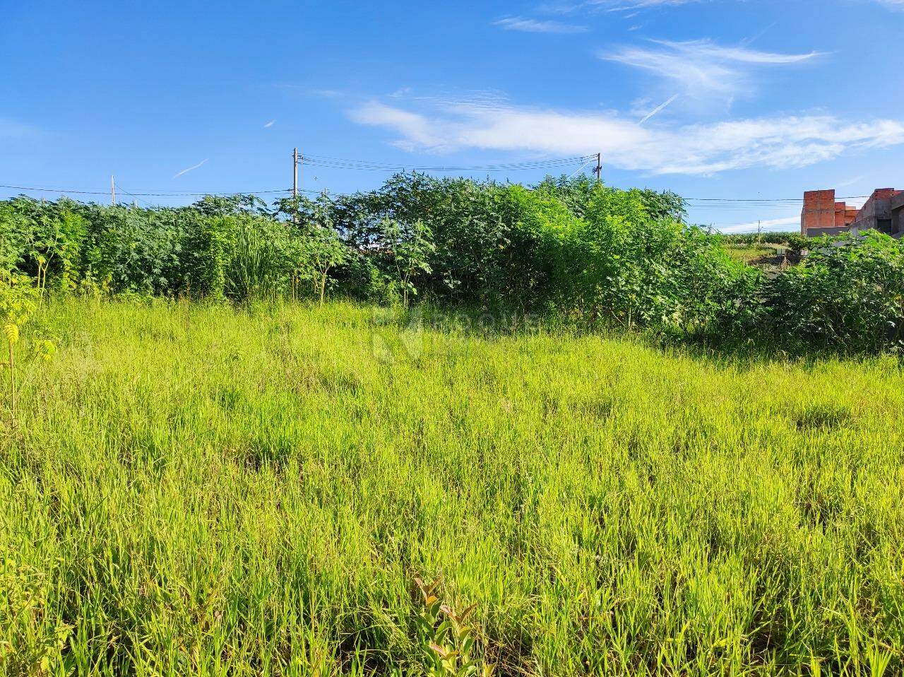 Terreno à venda no bairro Residencial Colinas do Engenho I: 