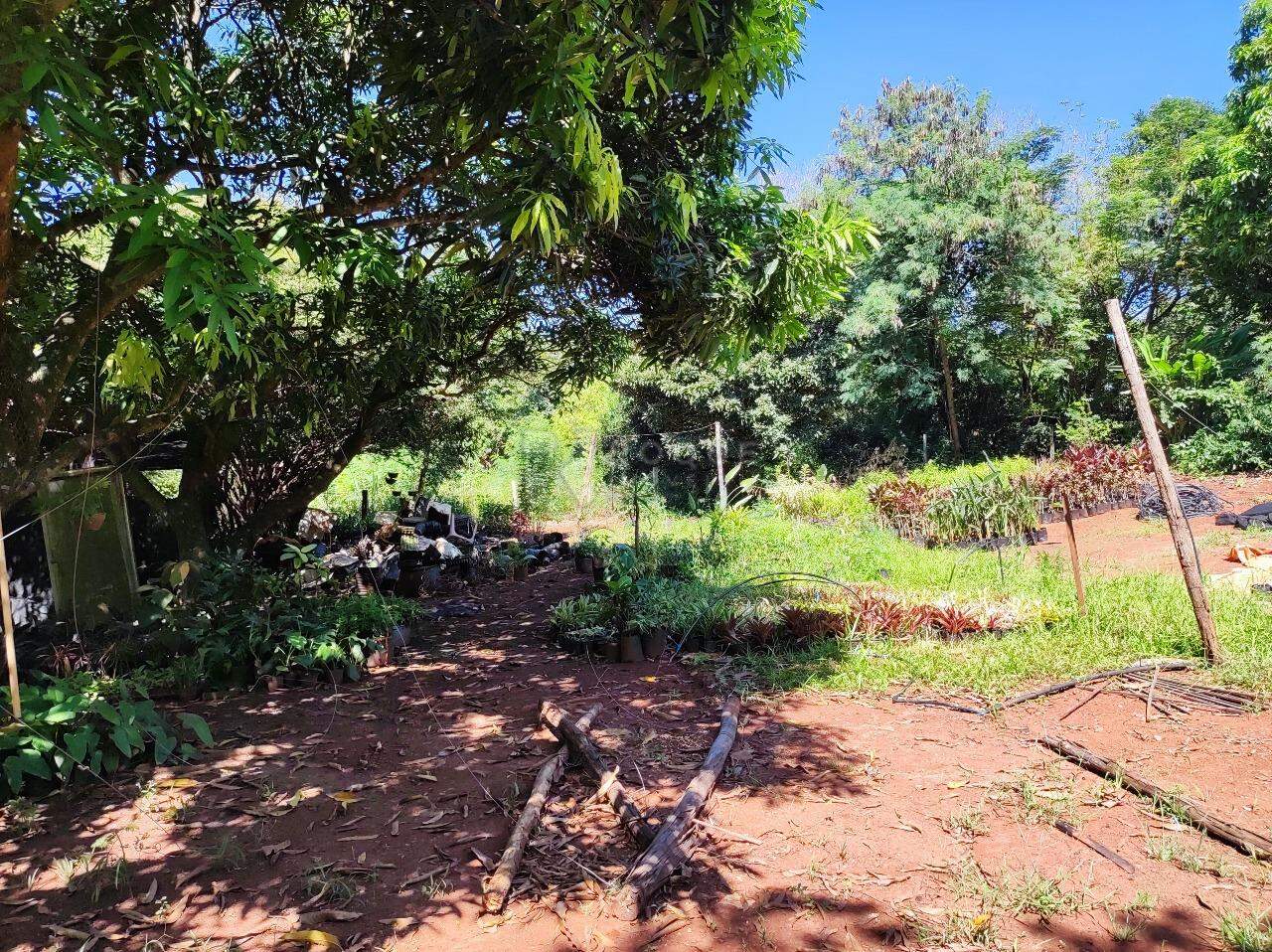 Chácara à venda no bairro Bairro da Graminha: ÁREA VERDE