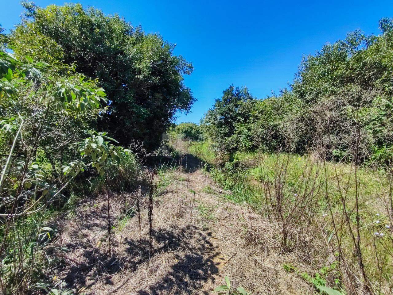 Chácara à venda no bairro Bairro da Graminha: ÁREA VERDE
