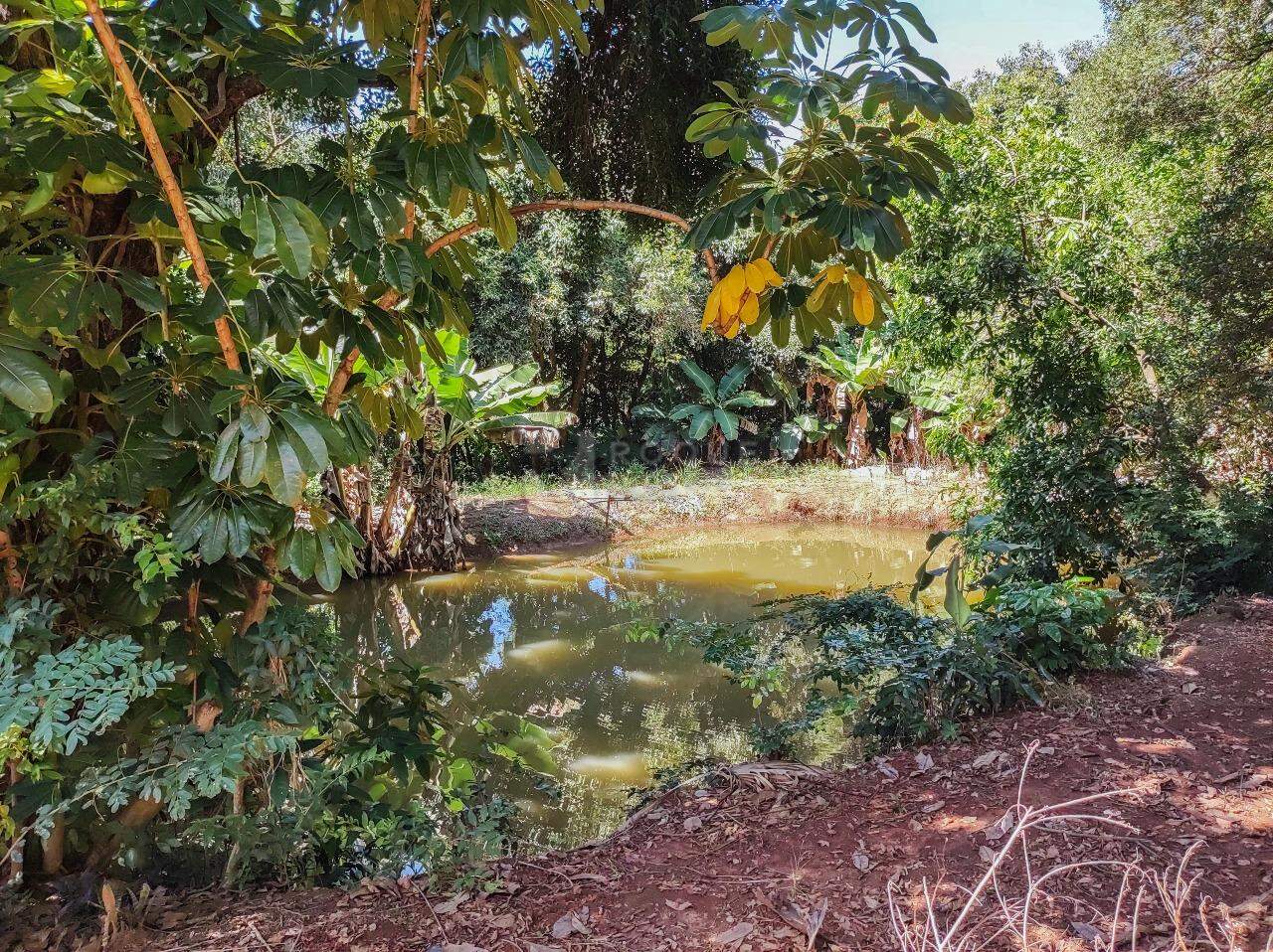 Chácara à venda no bairro Bairro da Graminha: ÁREA VERDE