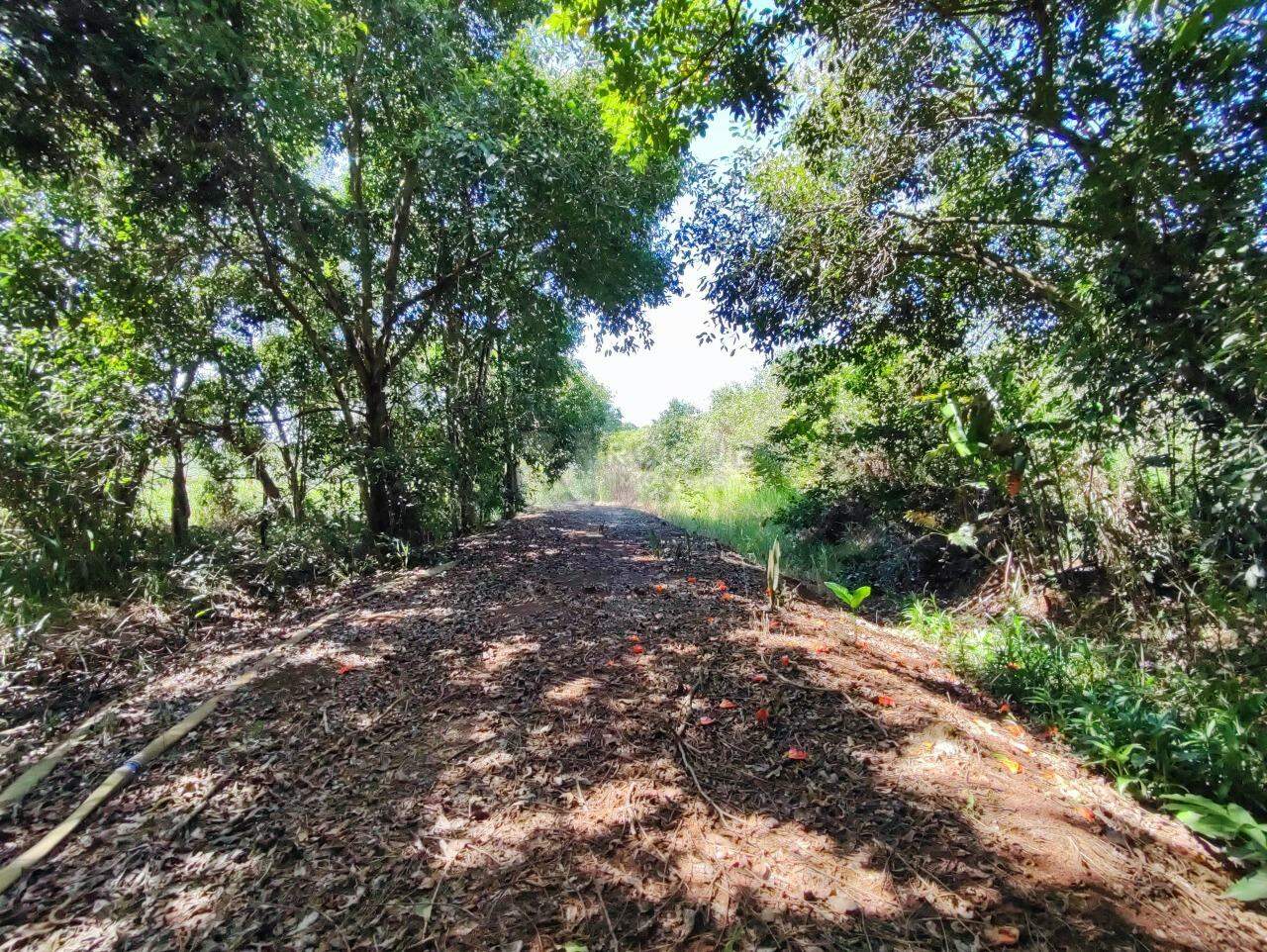 Chácara à venda no bairro Bairro da Graminha: ÁREA VERDE