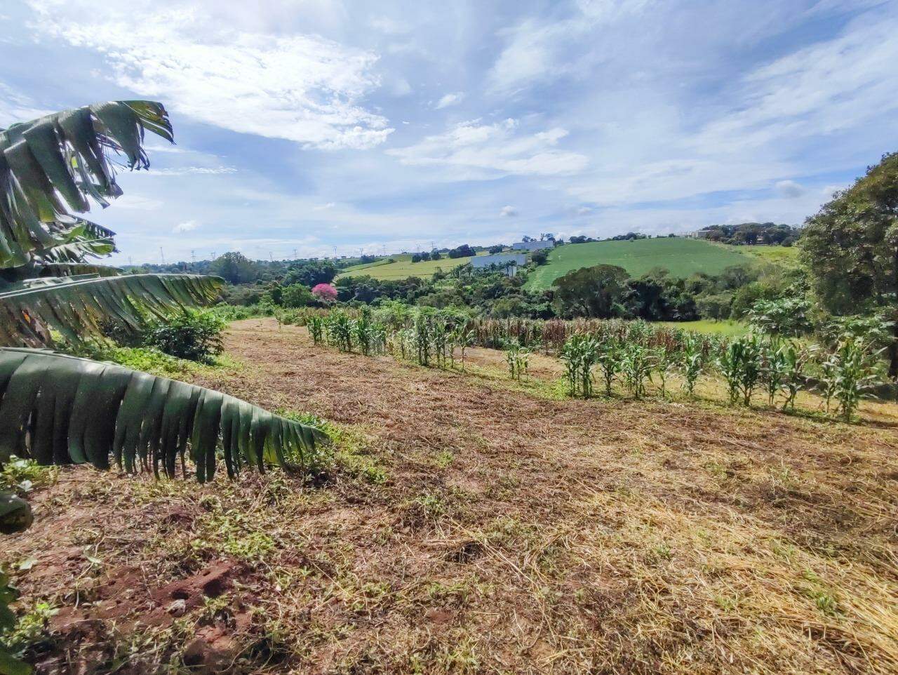 Sítio à venda no bairro Ribeirão do Pinhal: