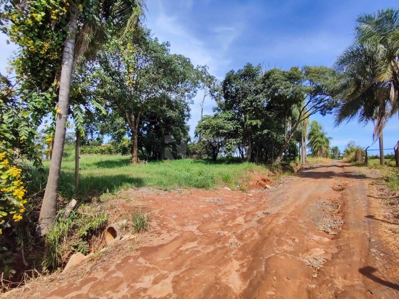 Sítio à venda no bairro Ribeirão do Pinhal: 