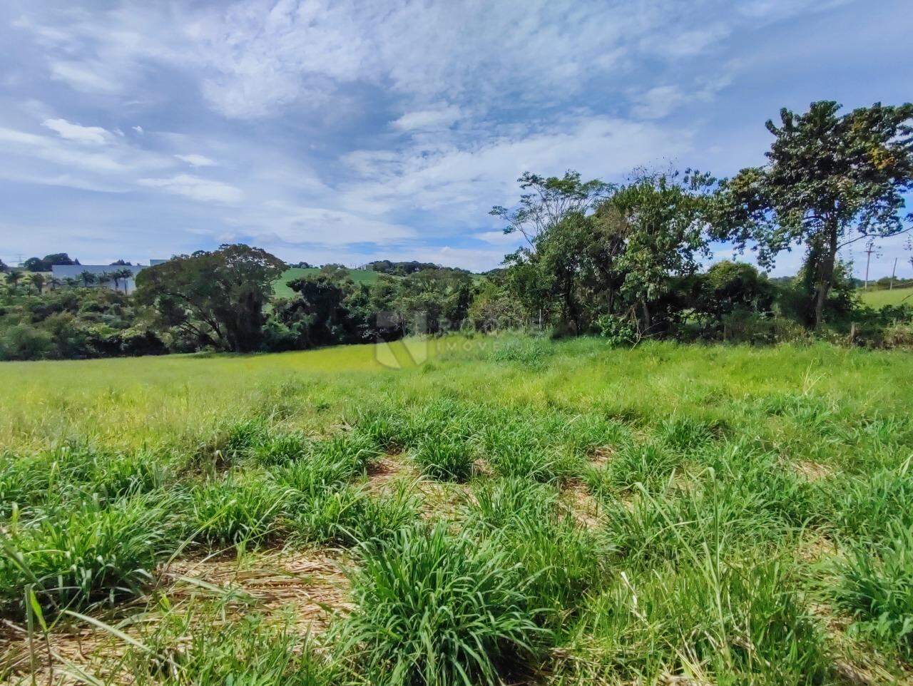 Sítio à venda no bairro Ribeirão do Pinhal: