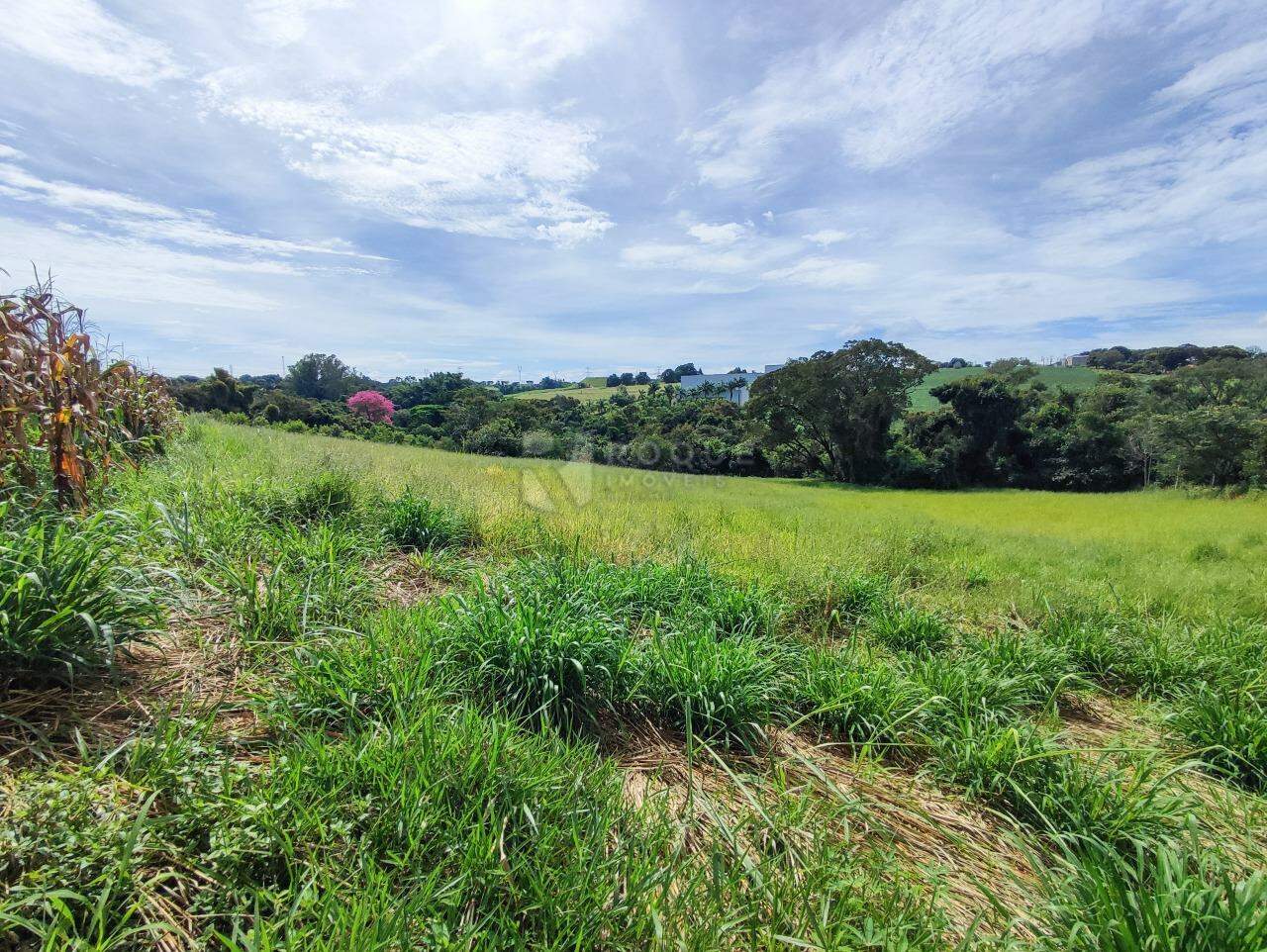 Sítio à venda no bairro Ribeirão do Pinhal: