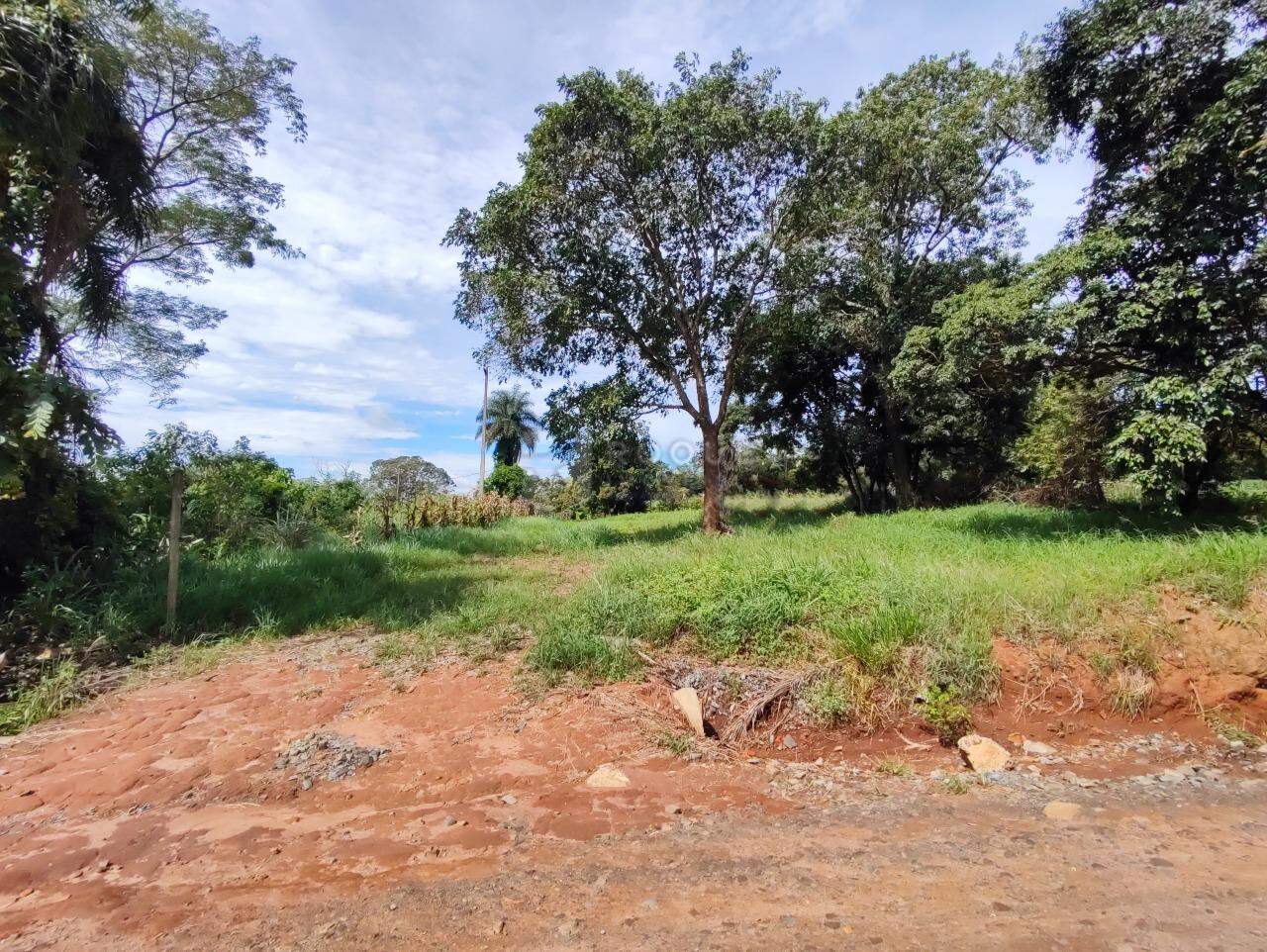 Sítio à venda no bairro Ribeirão do Pinhal: