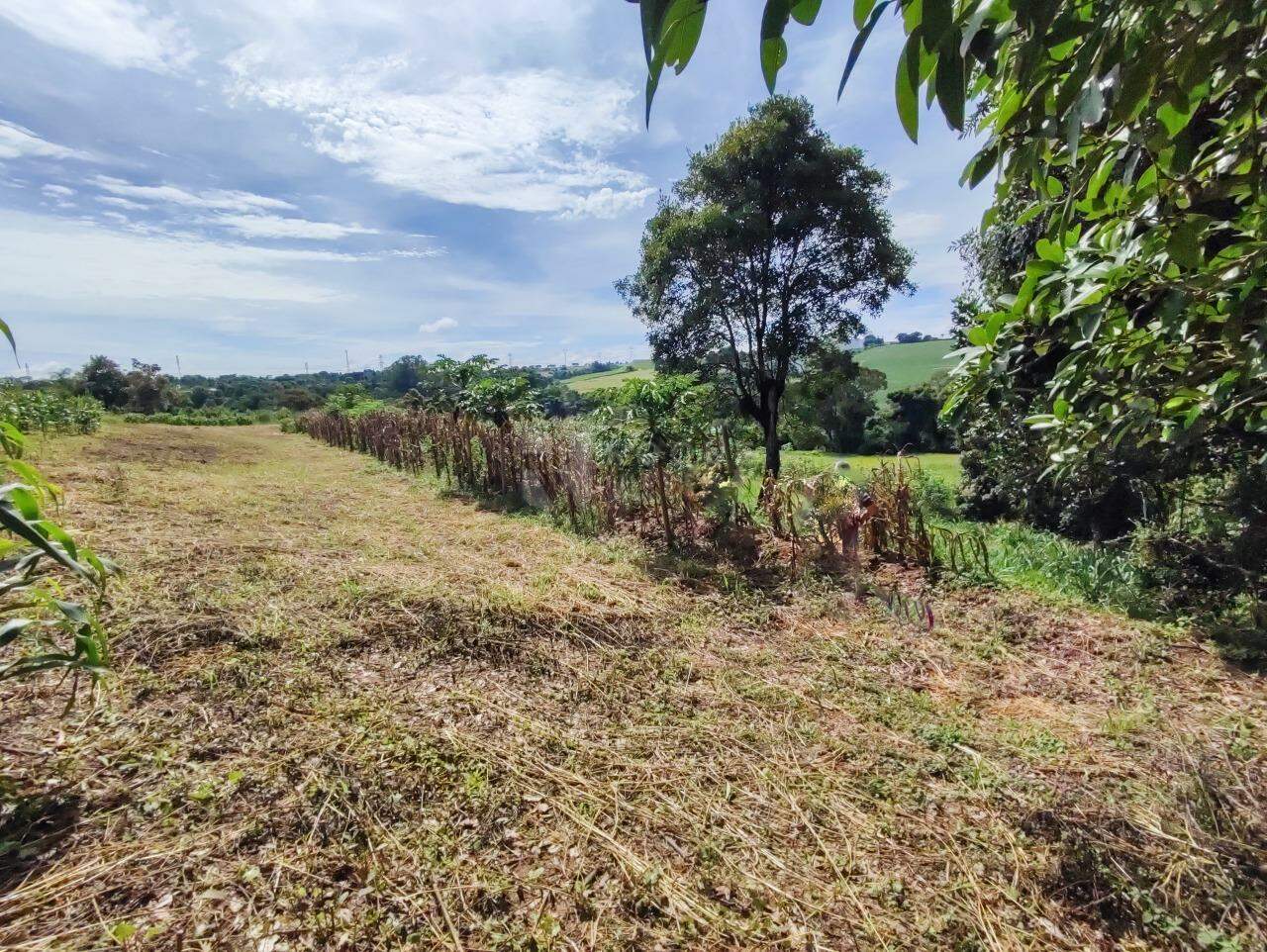 Sítio à venda no bairro Ribeirão do Pinhal: