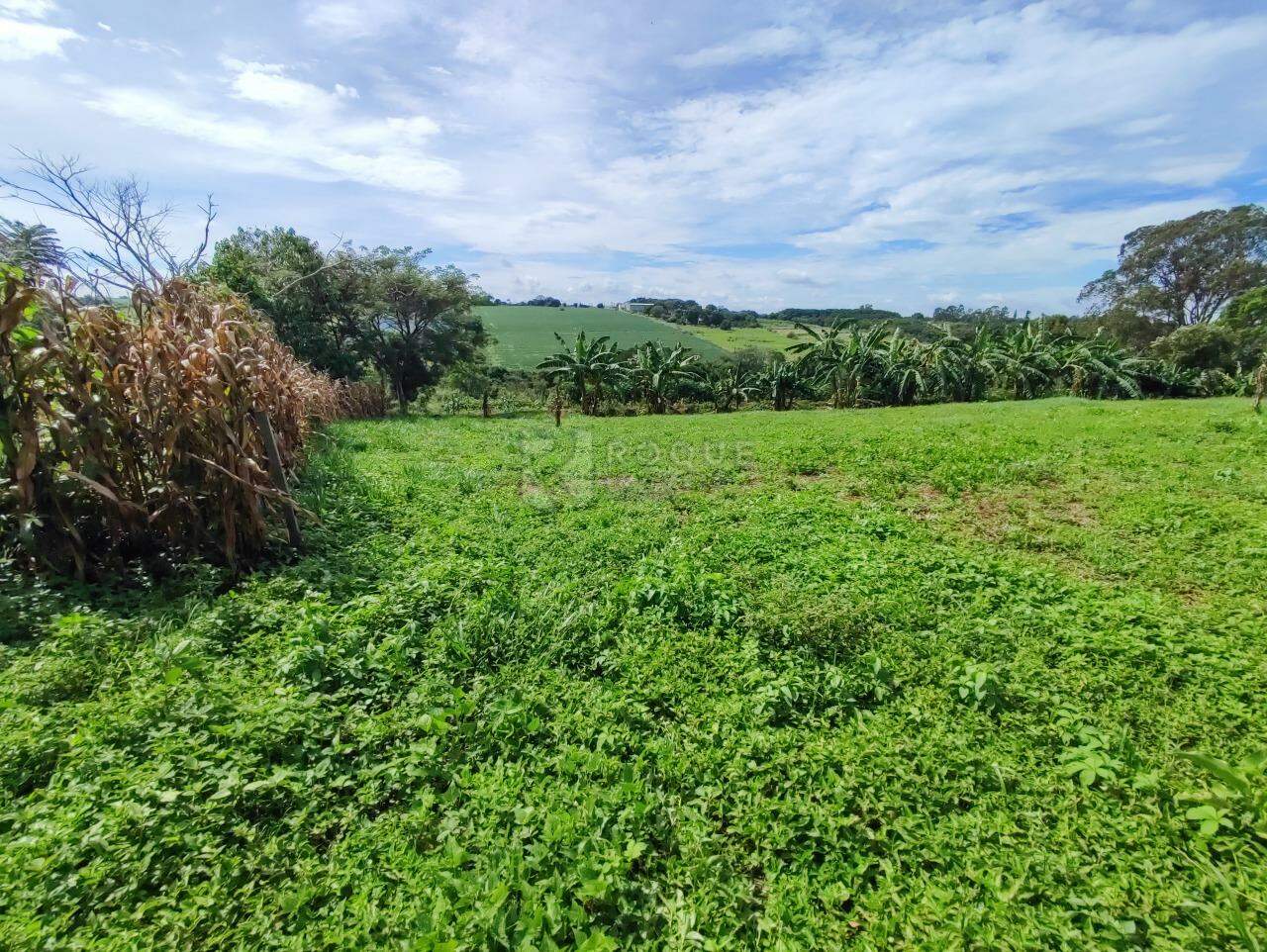 Sítio à venda no bairro Ribeirão do Pinhal: