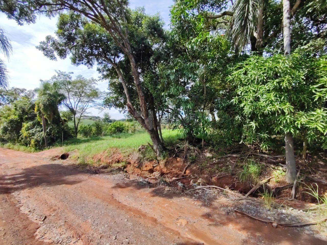 Sítio à venda no bairro Ribeirão do Pinhal: 