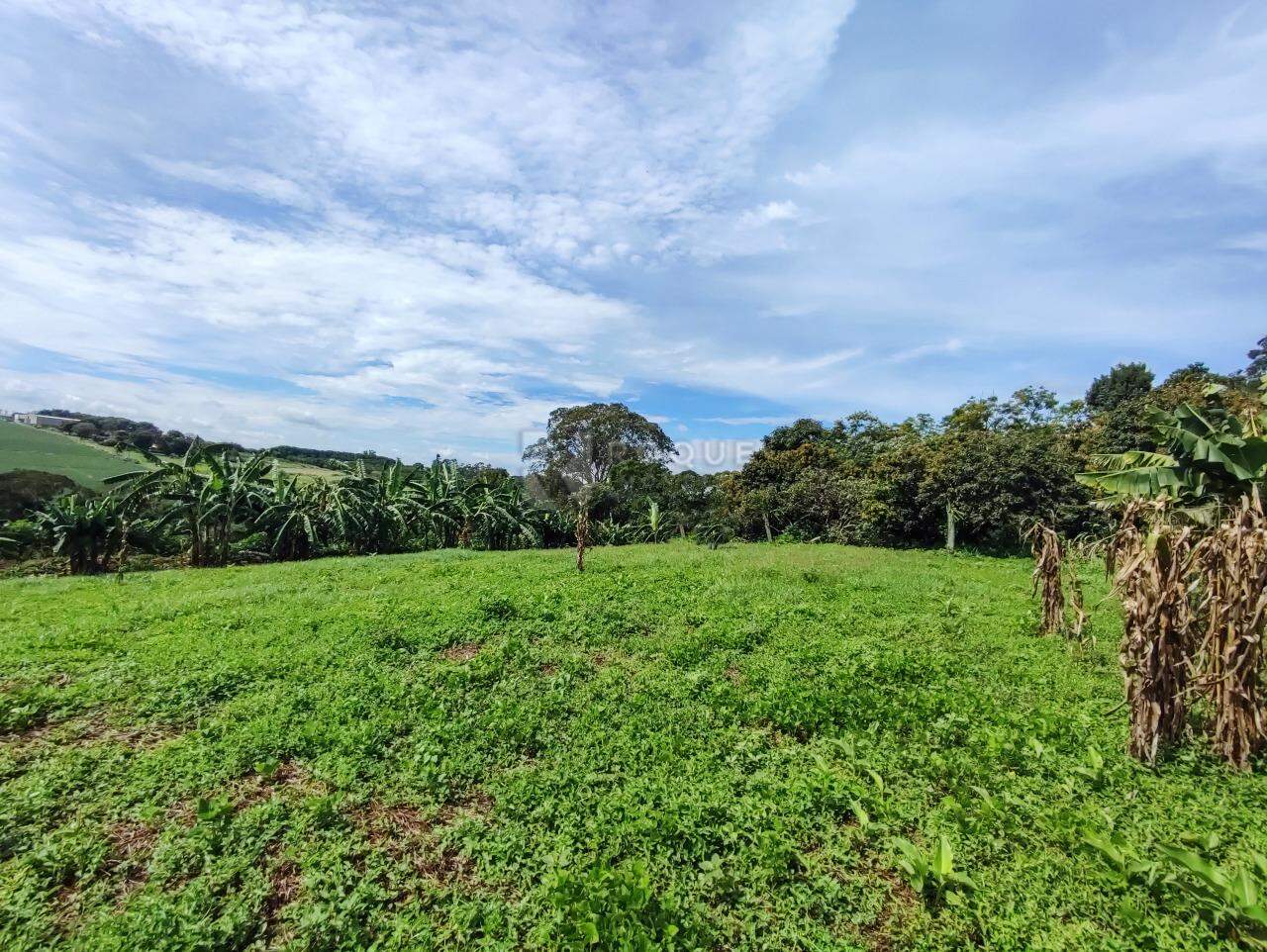 Sítio à venda no bairro Ribeirão do Pinhal:
