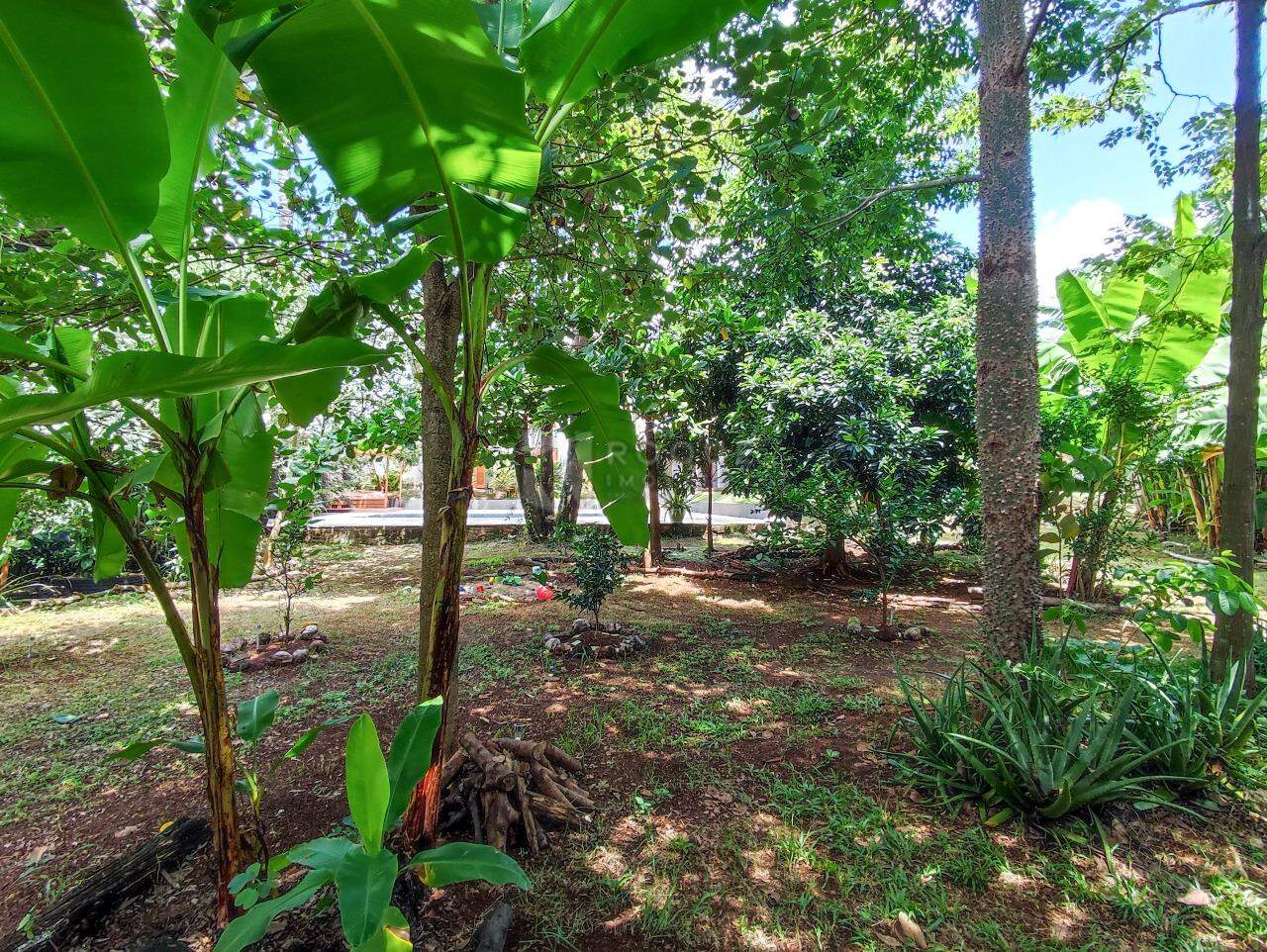 Casa em condomínio à venda no bairro Portal das Rosas: QUINTAL