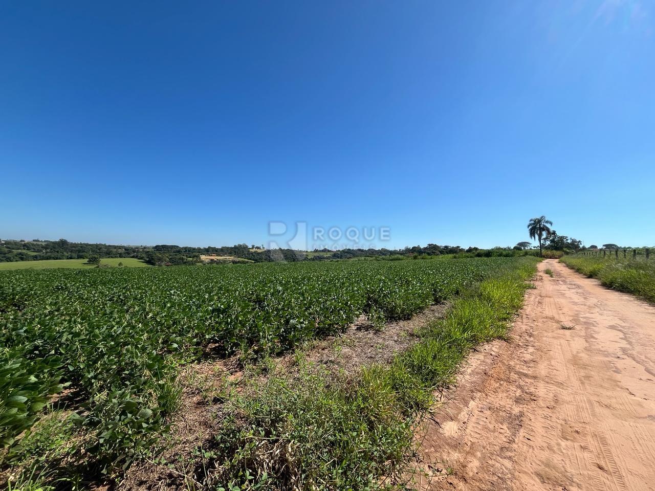 Terreno à venda no bairro Área Rural de Limeira: 