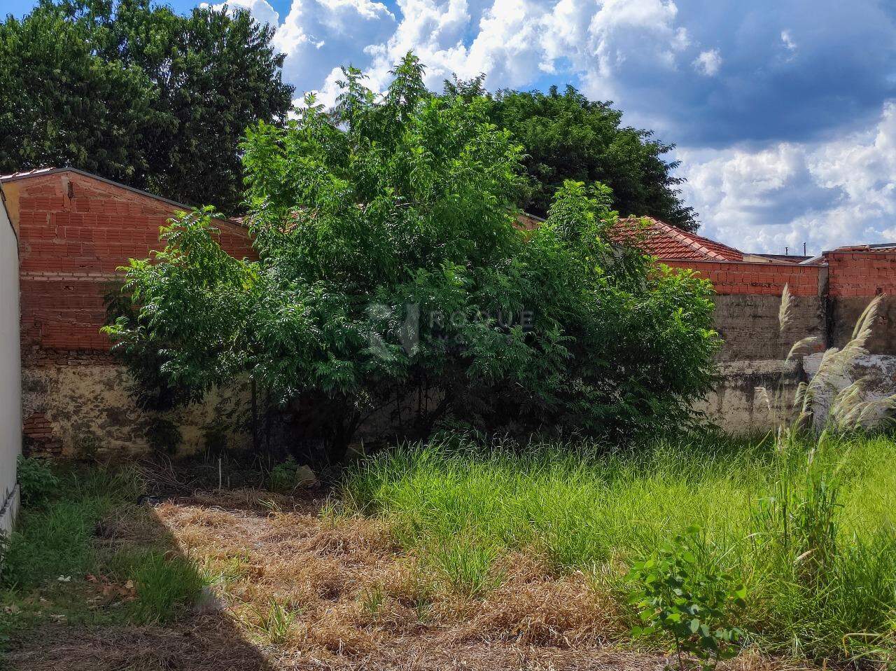 Terreno à venda no bairro Vila São Luiz: 