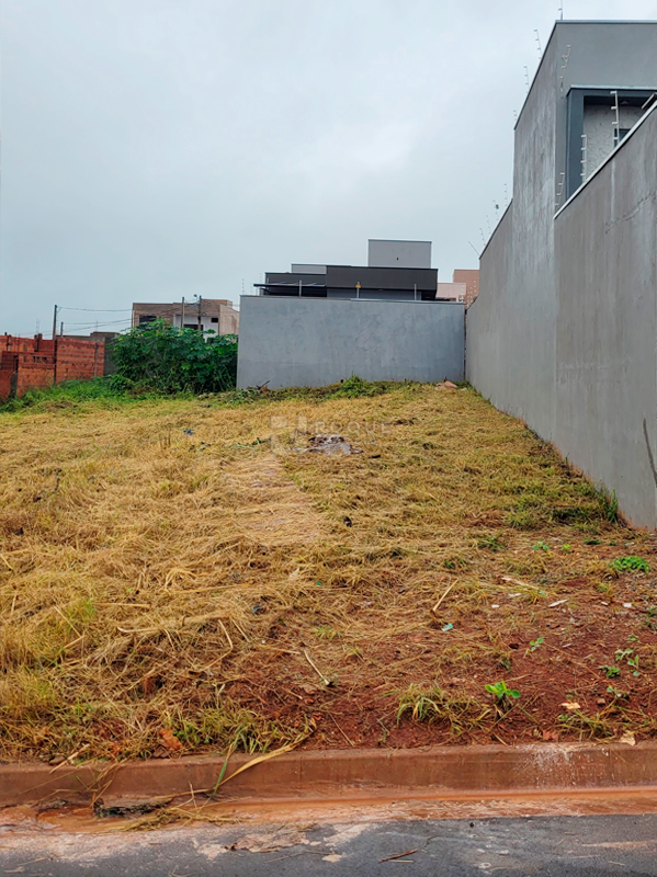 Terreno à venda no bairro Residencial Colinas do Engenho I: 