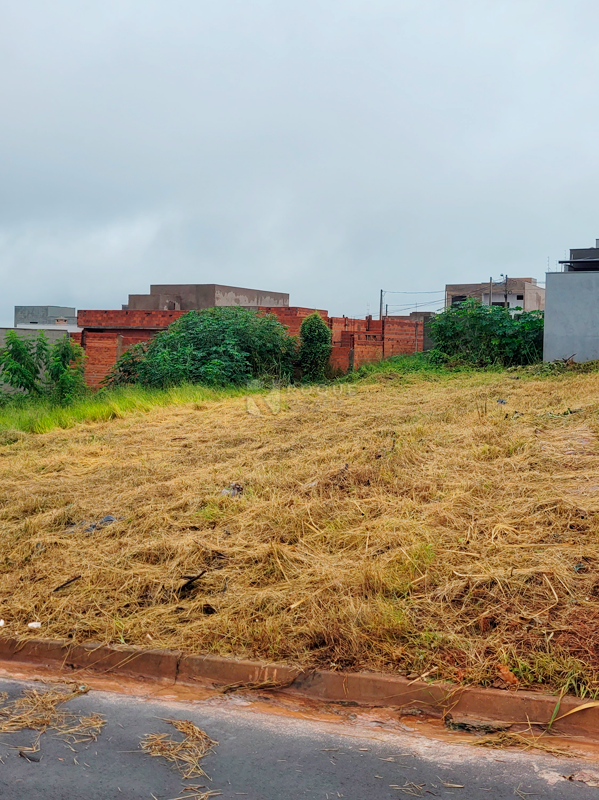 Terreno à venda no bairro Residencial Colinas do Engenho I: 