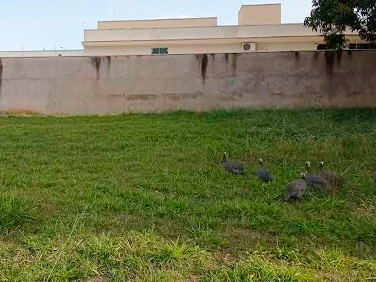 Terreno em condomínio à venda no bairro Portal de São Clemente: 