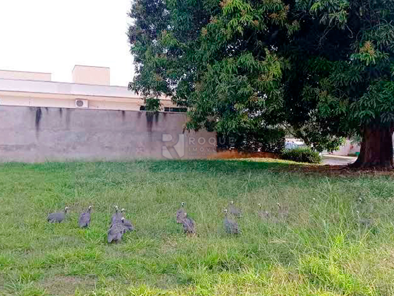 Terreno em condomínio à venda no bairro Portal de São Clemente: 