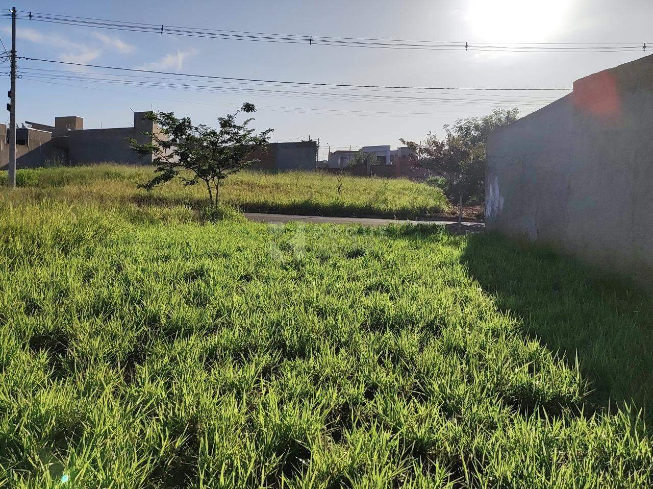 Terreno à venda no bairro Jardim Marajoara: 