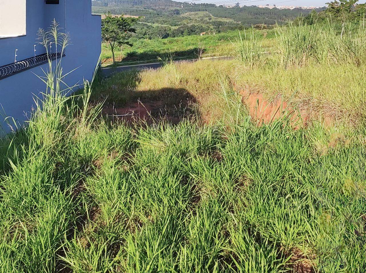 Terreno à venda no bairro Jardim Marajoara: 