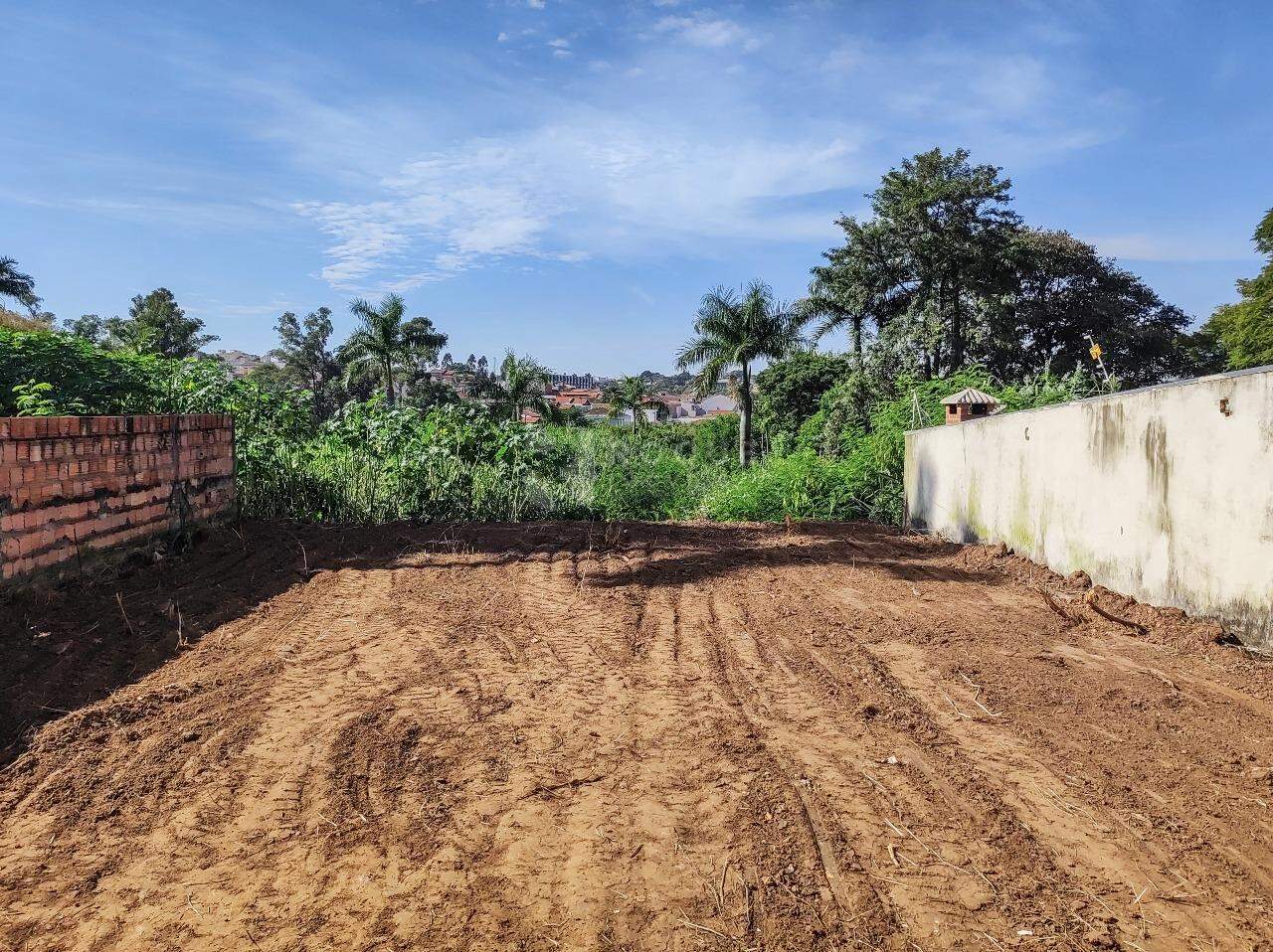 Terreno à venda no bairro Vila Queiroz: 