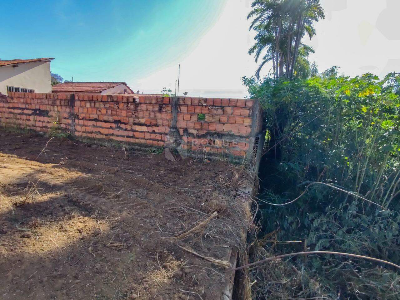 Terreno à venda no bairro Vila Queiroz: 