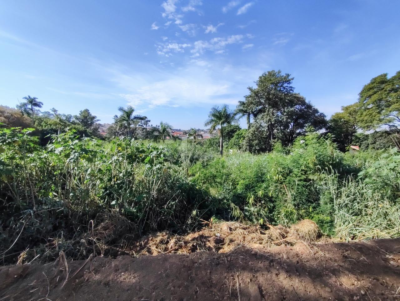 Terreno à venda no bairro Vila Queiroz: 