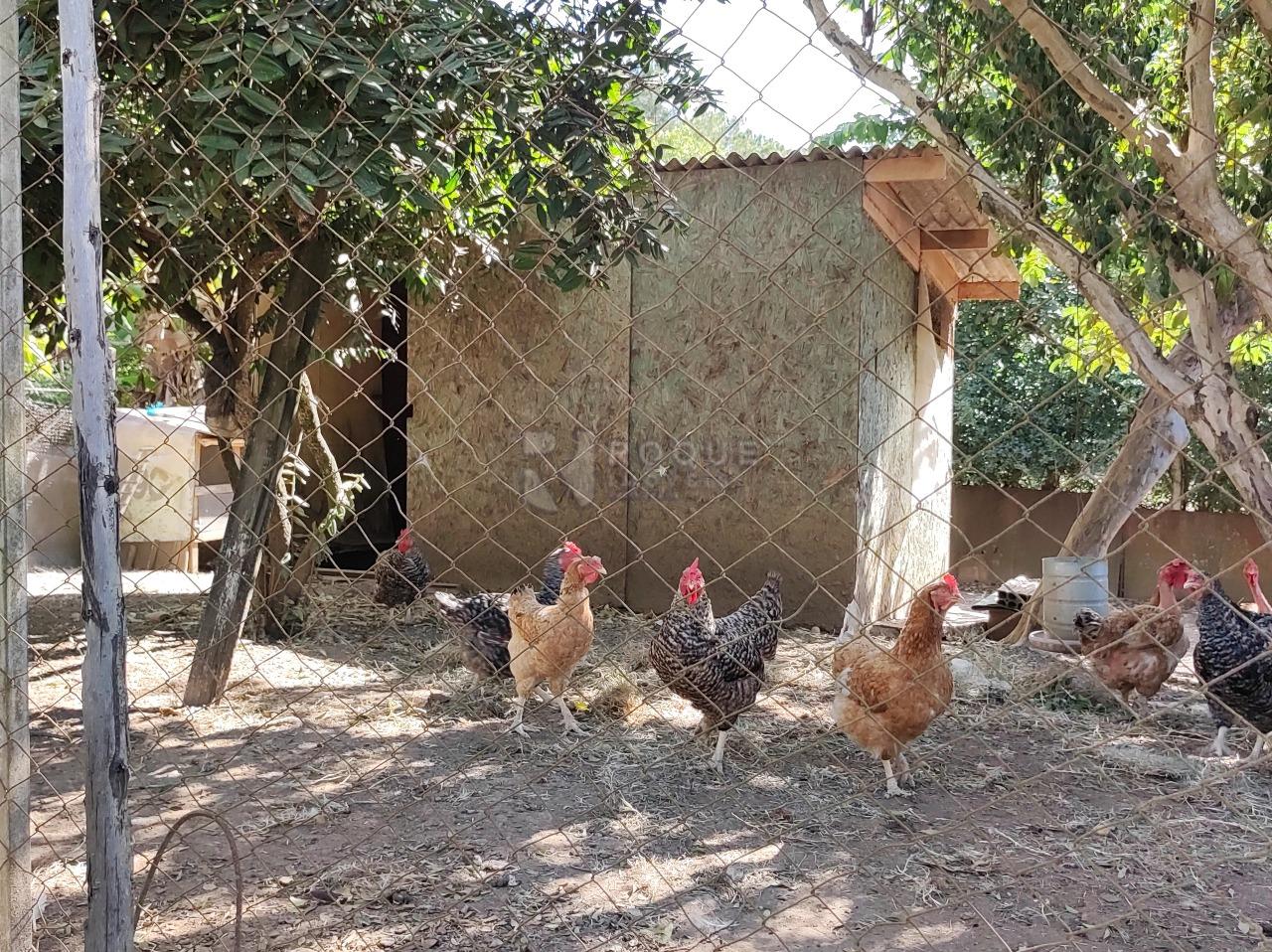 Chácara à venda no bairro Estância Eldorado: GALINHEIRO
