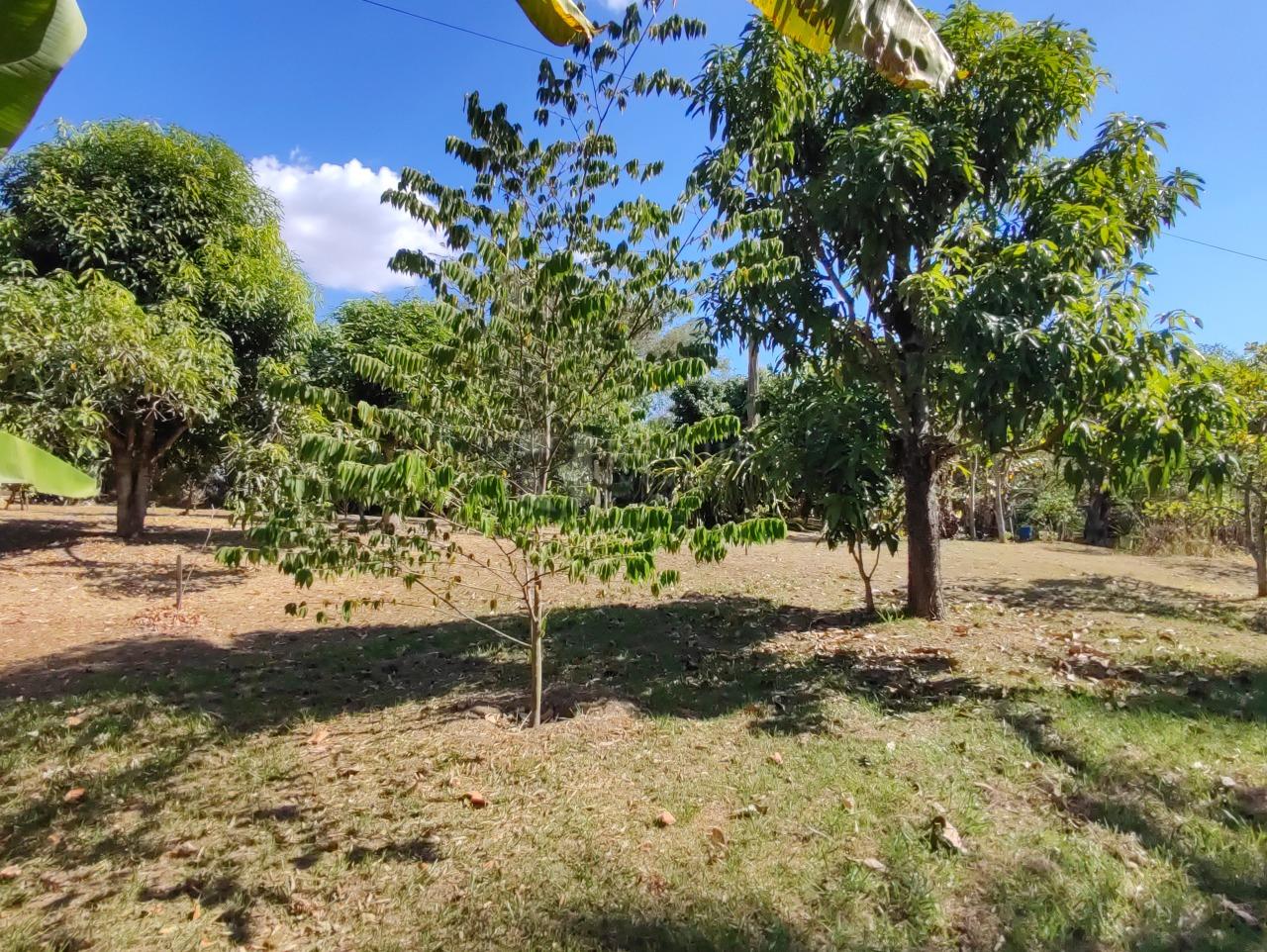 Chácara à venda no bairro Estância Eldorado: 
