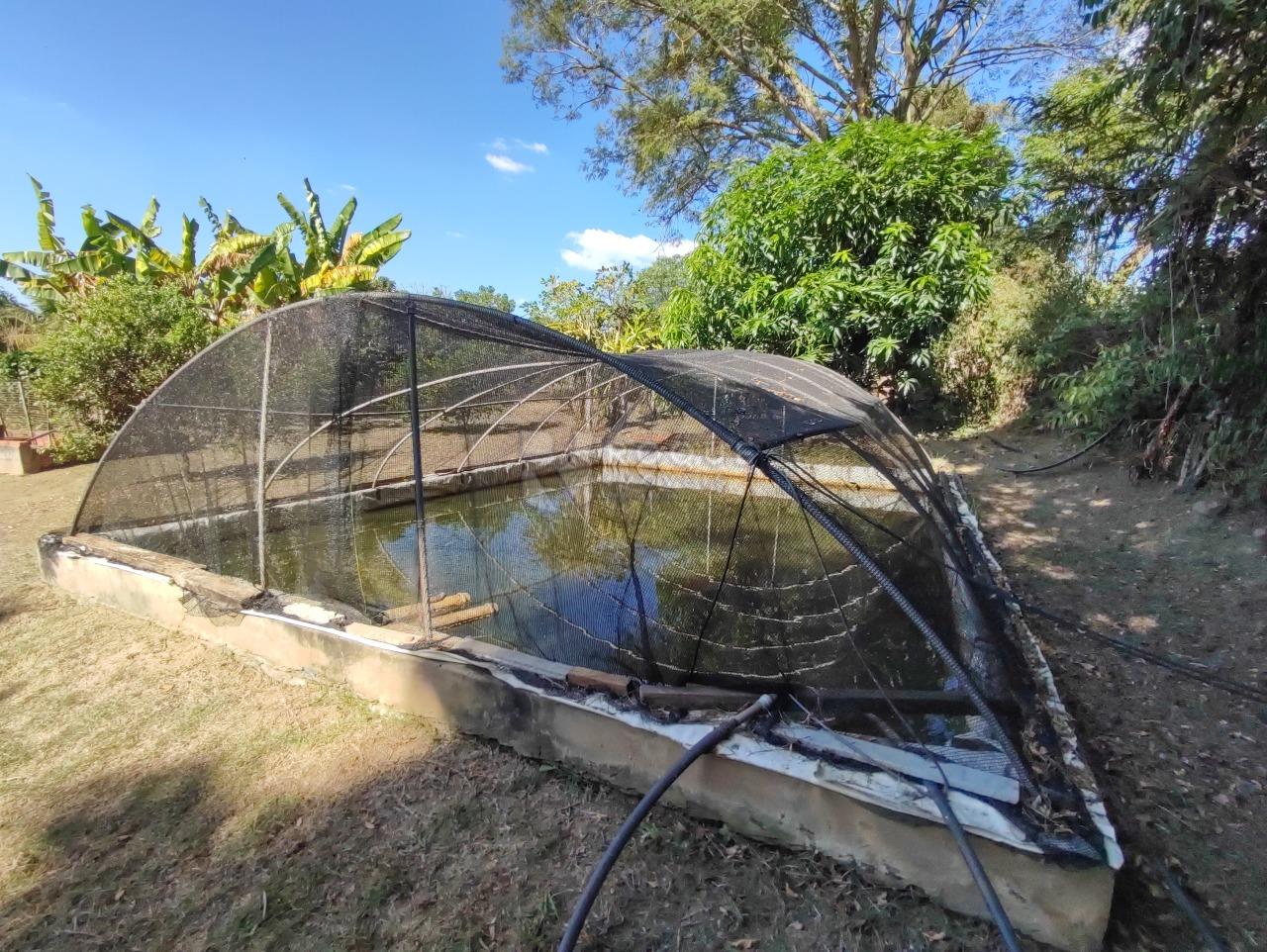 Chácara à venda no bairro Estância Eldorado: TANQUE DE PEIXES
