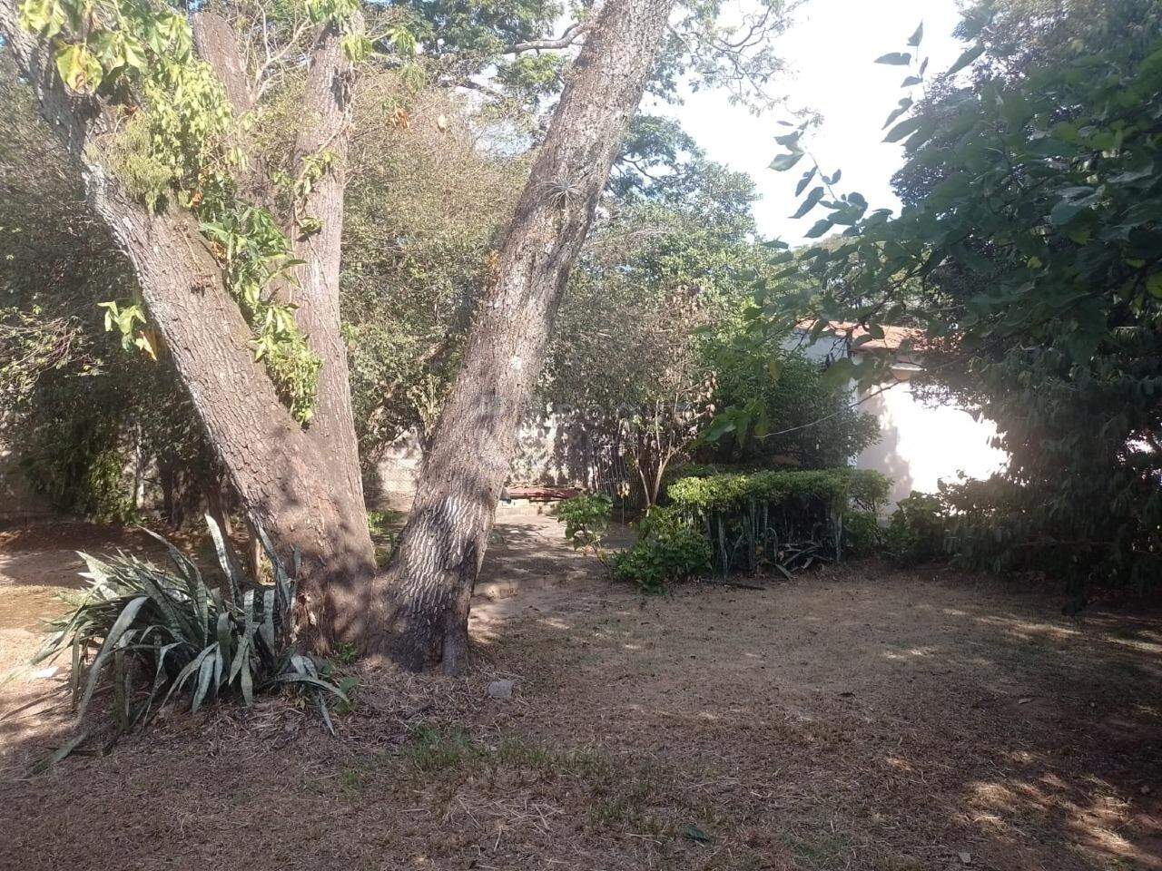 Casa Residencial para aluguel no bairro Vila Nova: Quintal fundos
